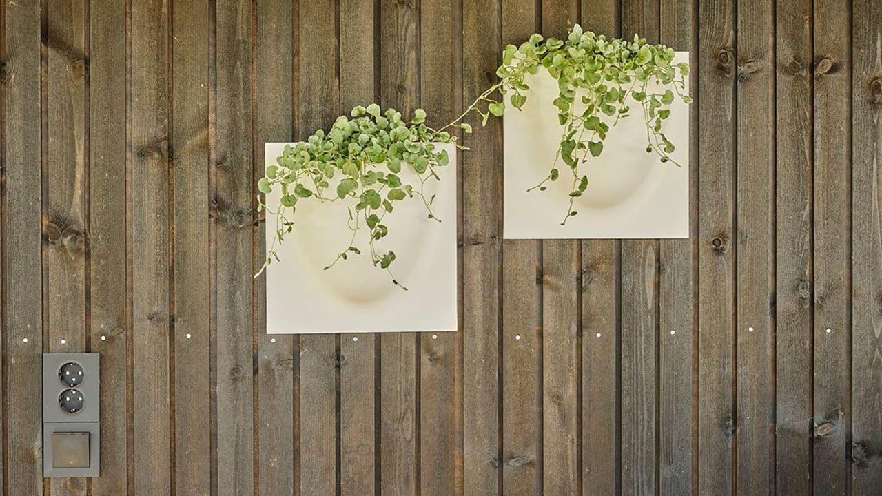 Kledning i dobbelfals rettkant med fuge og to blomserpotter hengende på veggen.