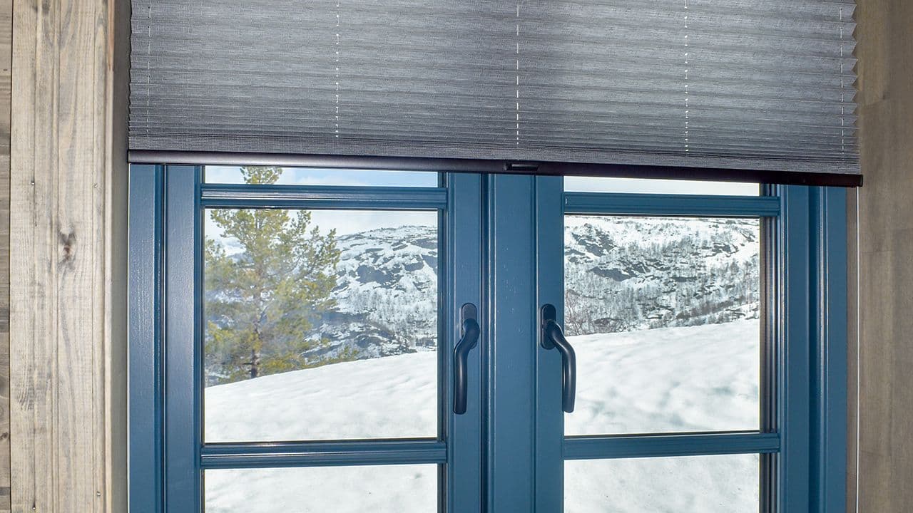 Vindu med plissegardin for innsynsskjerming vindu.