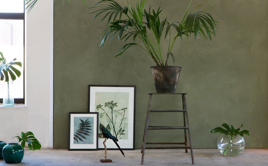 Planter og bilder i en stue