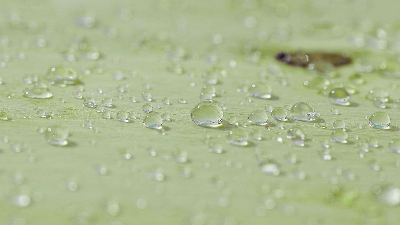WeatherPly fra Moelven som er en værbestandig konstruksfinerplate.